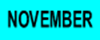 NOVEMBER.png